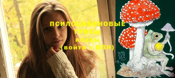 спайс Аркадак