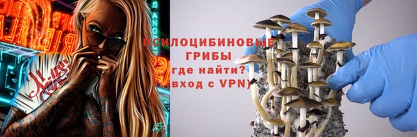 прущий лед Армянск